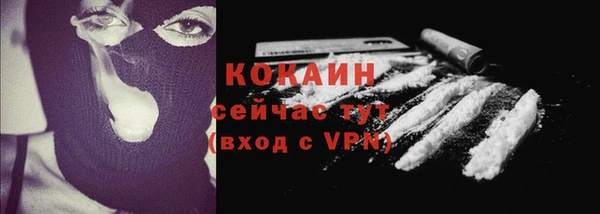 PSILOCYBIN Армянск