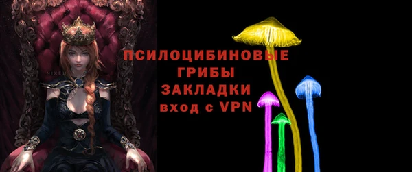 МДПВ Аркадак