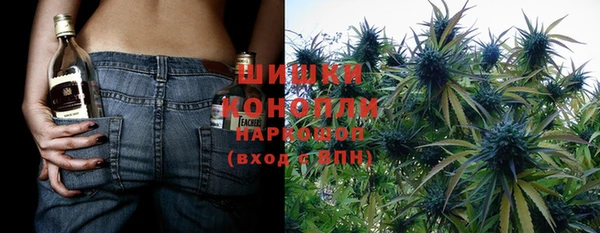 МДПВ Аркадак
