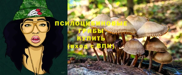 PSILOCYBIN Армянск