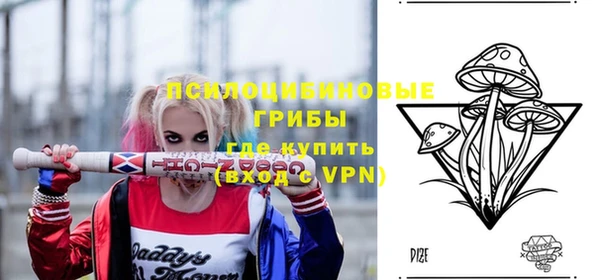 МДПВ Аркадак